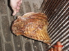 Asado_Leocadio 008
