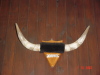 Asado_Leocadio 012