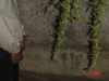 Asado_Leocadio 041