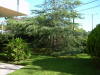 DSCN1124